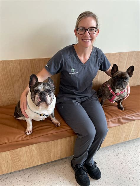 Exploring BOAS Airway Improvement Surgery for Brachycephalic Breeds ...