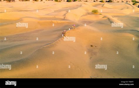 5 เคล็ดลับและเทคนิคเพื่อการจัดระเบียบรูปภาพบน iPhone ที่ดียิ่งขึ้น