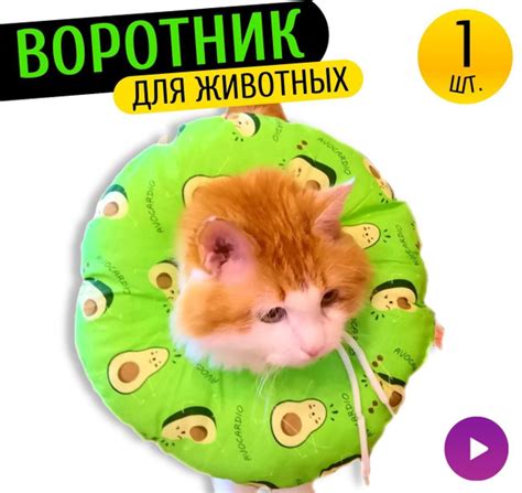 Воротник для кошки и собак мелких пород. Защитный. Окружность шеи: 13 ...