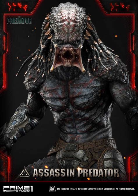 Image result for Assassin Predator