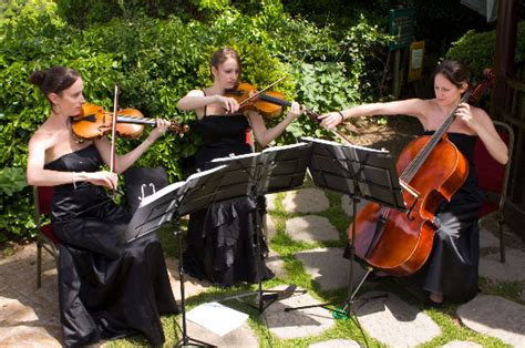Image result for Classical String Trio