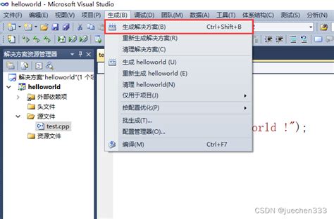 Visual Studio 2010 Image Create 的图像结果