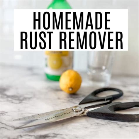 Image result for Remove Rust DIY