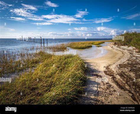 Shore of Gulf of Mexico, Saint Marks National Wildlife Refuge, Saint ...