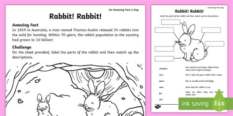 Rabbit! Rabbit! Worksheet / Worksheet (teacher made)