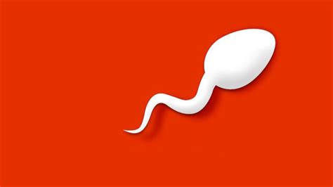 Image result for Bit Life Mod PC