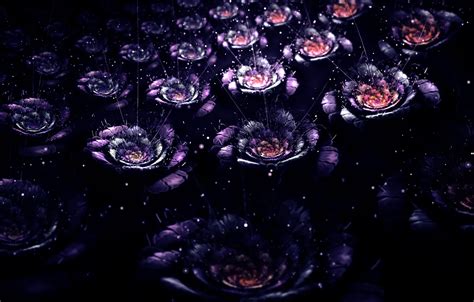 Wallpaper rays, flowers, abstraction, graphics, fractal, placer, bokeh ...