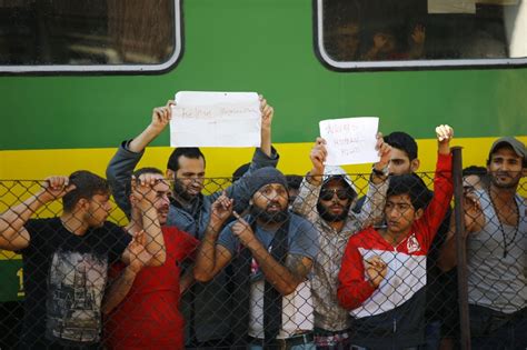 Migrant Train standoff in Hungary - Photos,Images,Gallery - 29523
