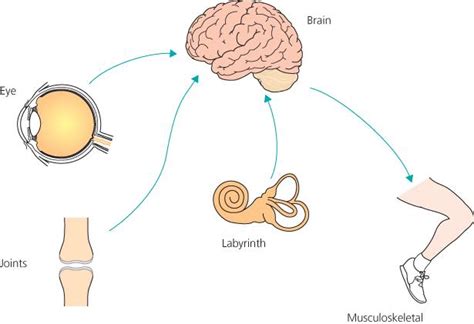 Vertigo: causes, symptoms, diagnosis and treatment | Clear ENT