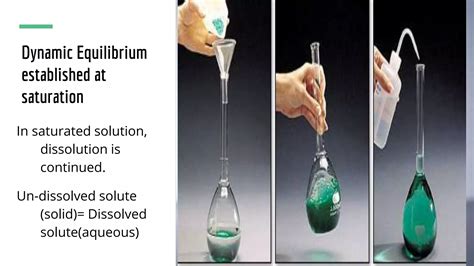 Solubility Process 的图像结果