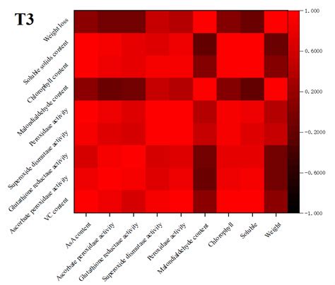 Study of Postharvest Quality and Antioxidant Capacity of Freshly Cut ...