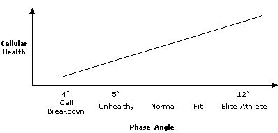 Image result for How to Determine Phase Angle