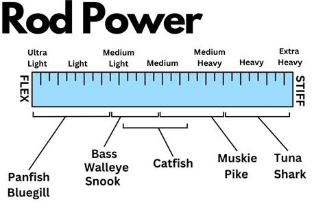 Image result for Rod Guide Size Chart