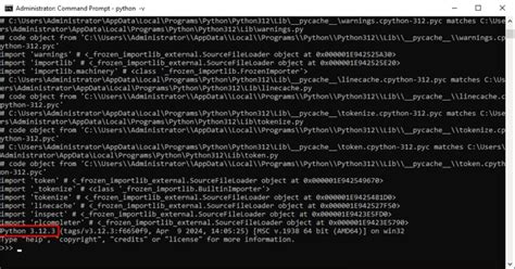 Image result for How to Run Server Python On Windows