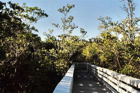 Anne Kolb Nature Center