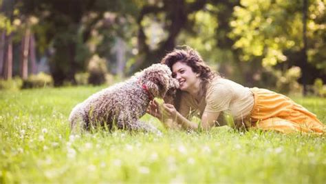 How long have dogs been our best friends? New evidence dates back ...