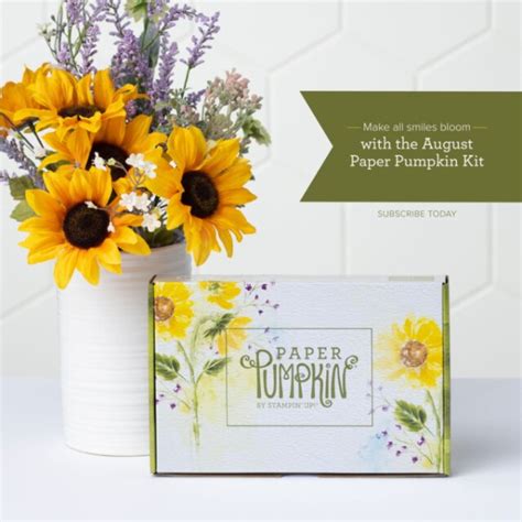 ChicnScratch Com 的图像结果