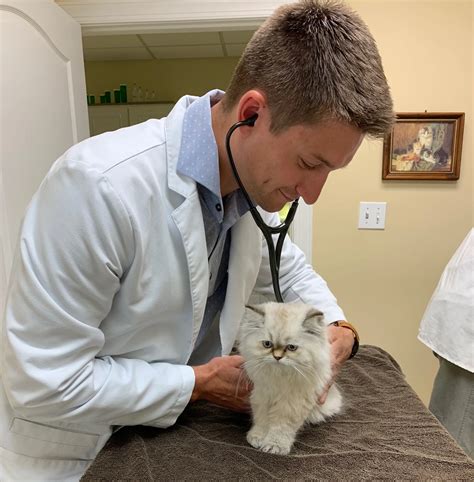Pleasantville Animal Hospital