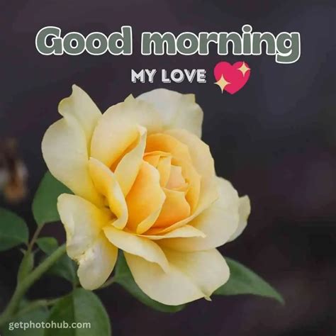 110+ Romantic Good Morning Love Images for Your Lover