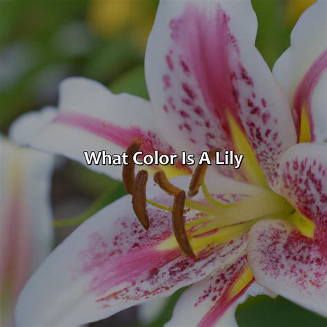 What Color Is July - colorscombo.com