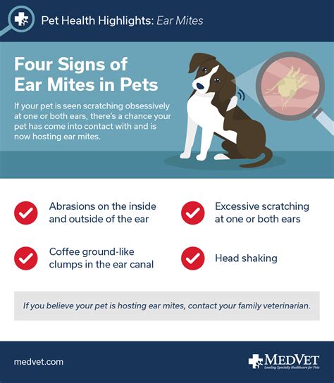 MEDVET SILICON VALLEY - San Jose CA - Hours, Directions, Reviews - Loc8NearMe