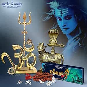 Vedic Vaani Brass Lord Shiv Lingam Shivling on Nandi Idol + Brass Shiva ...