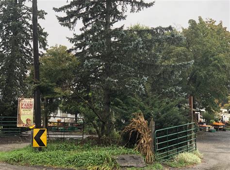 Montco, state and Plymouth Township to preserve Maple Acres Farm