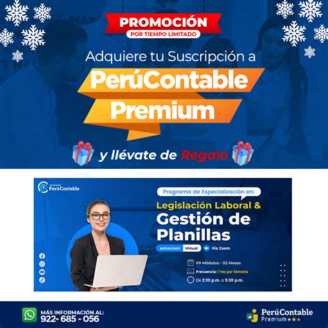 ¿Qué es el Régimen Especial de Renta? | Tributación