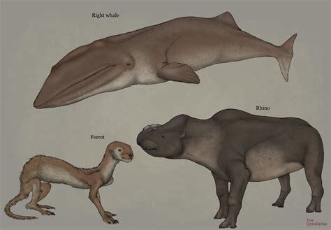 Future Animals Evolution 的图像结果