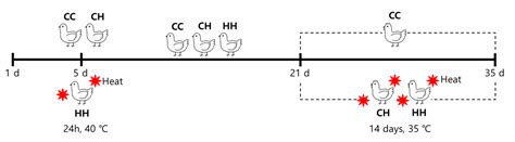 Proteomic Analysis of the Protective Effect of Early Heat Exposure ...