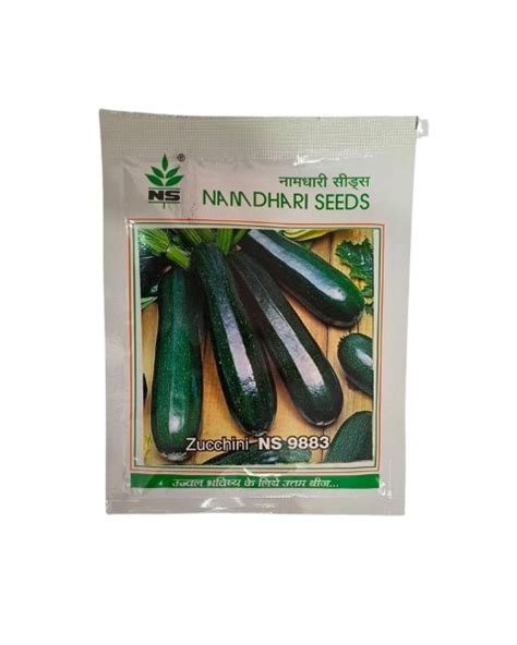 Zucchini Ns 9883 | BigHaat