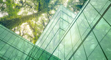 Sustainable Agriculture 的图像结果