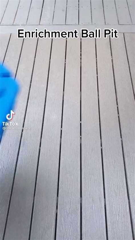 Mini Aussie Growth Chart 的图像结果