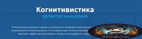 Курс [4brain] Когнитивистика развитие мышления (2019) - скачать слив