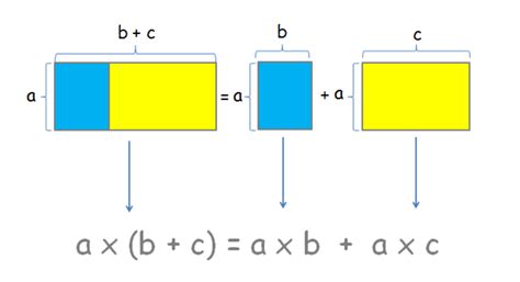 Image result for Distributive Property with Multiplication