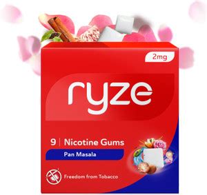 Ryze Nicotine Gum 2mg (Pan Masala) | 9 Gums Smoking Cessations Price in ...