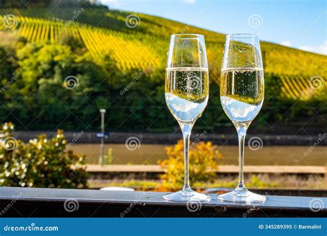 Tasting Sparkling White Wine, Traditional Champagne Method Making of ...