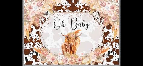 Alissa’s Baby shower, Minooka Park, Jemison, 10 May 2025 | AllEvents