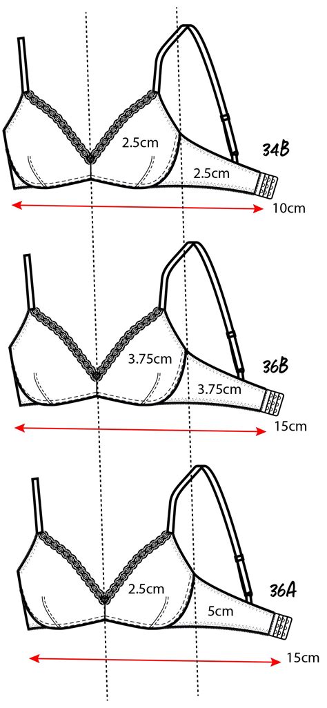 36b Breast Size Pictures