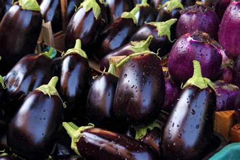 Is Eggplant a Fruit or Vegetable? - A-Z Animals