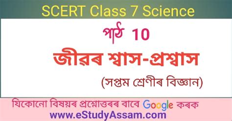 Class 7 Science Chapter 10 的图像结果