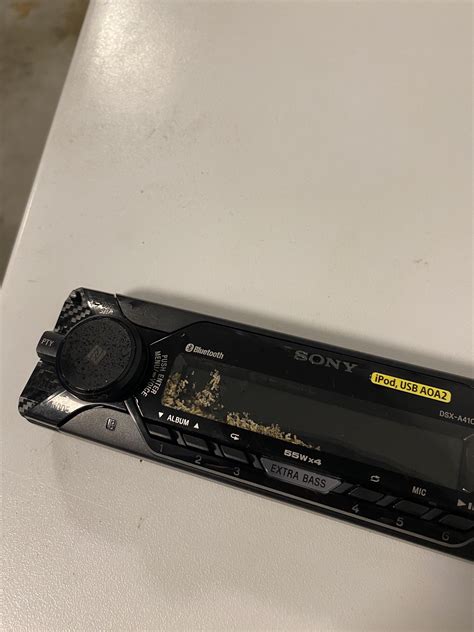 Ants in my car!!1!! : r/auckland