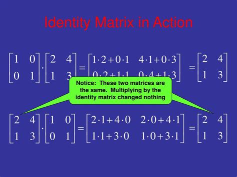 Image result for Identity Matrices