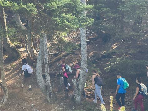 TERRA TREKS (2026) All You Need to Know BEFORE You Go (with Photos ...