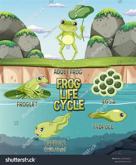Frog Cycle 的图像结果