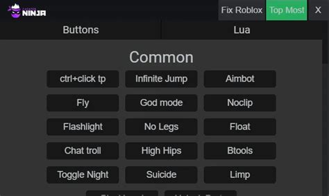 Image result for Jjsploit Roblox Script Executor