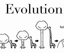 evolution 的图像结果