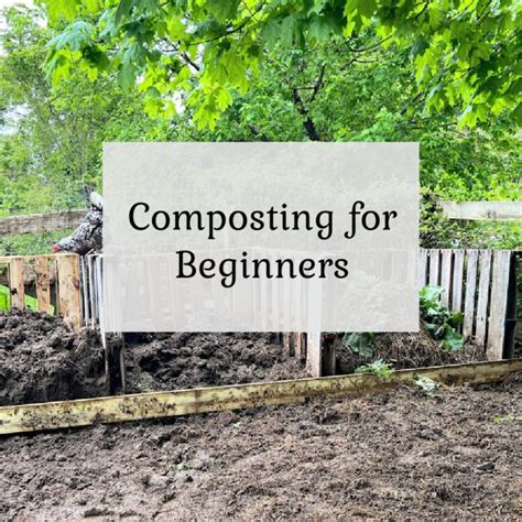 How to Build a Compost Bin Using Pallets 的图像结果