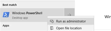 Install Store PowerShell 的图像结果