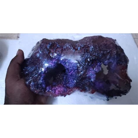 LCA-CICHLID HIDING ROCK